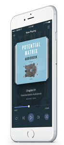 Potential Matrix Audiobook (MP3)